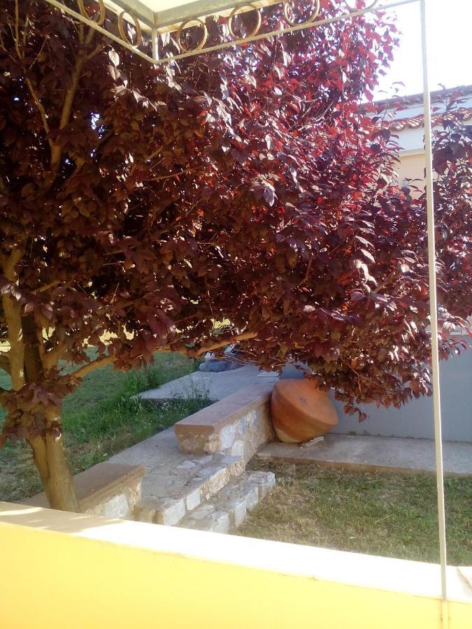 Studios Στουσ Πυργουσ Θερμησ Mytilene ภายนอก รูปภาพ